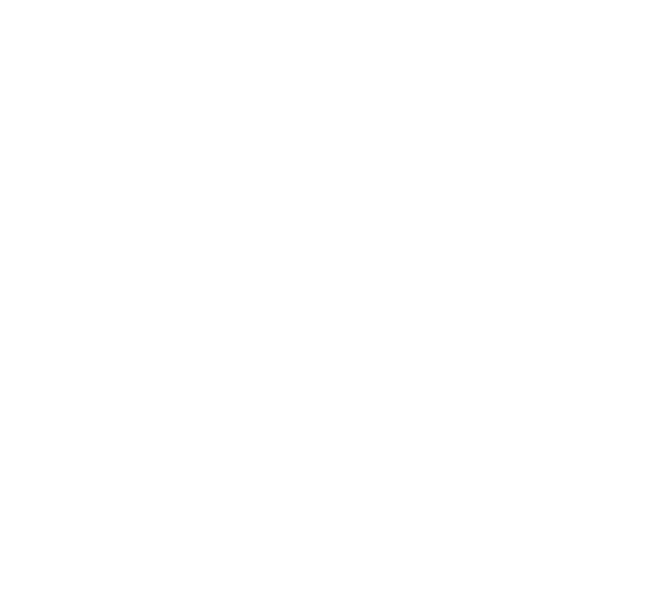 NE Youth
